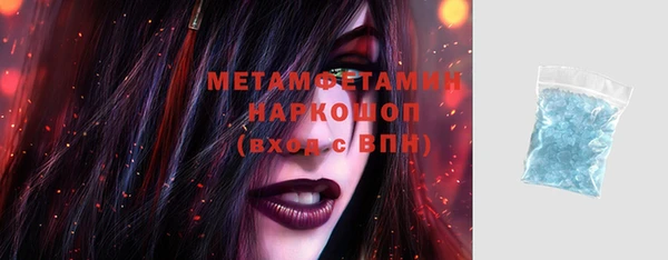 шишки Белокуриха