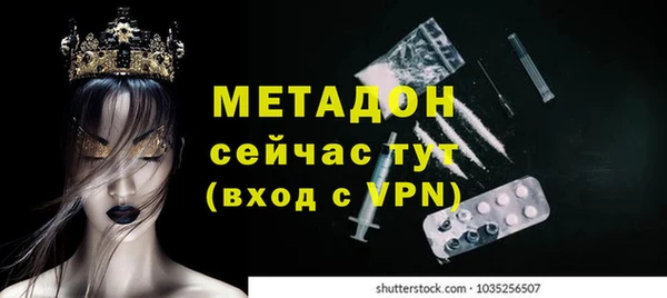 прущие грибы Сосновоборск