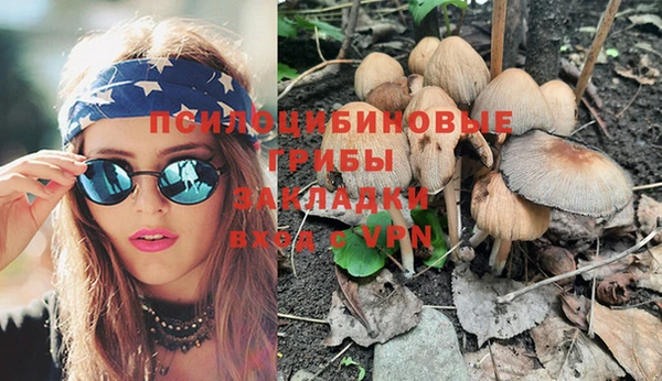 шишки Белокуриха