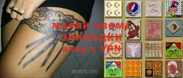 шишки Белокуриха