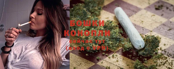 шишки Белокуриха