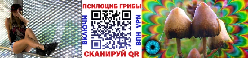 где купить   мориарти Telegram  Галлюциногенные грибы Psilocybine cubensis  Краснокамск 